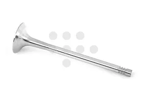 06D109611H VAG Клапан, выпускной, шт